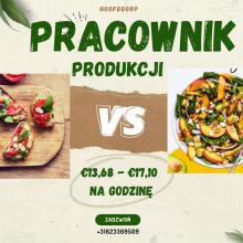 Pracownik produkcji - catering