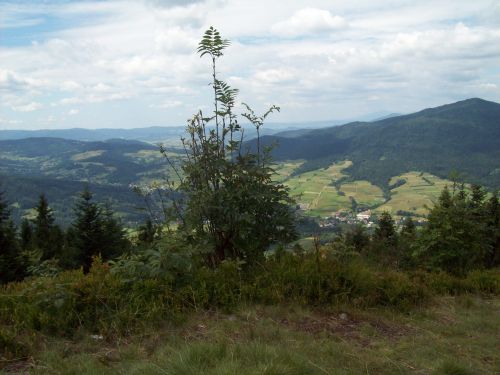 beskid wyspowy