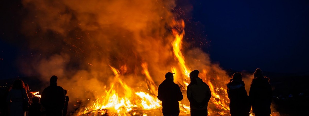 Zbierają, palą, a nawet… warzą piwo. Jak Holendrzy pozbywają się świątecznych choinek