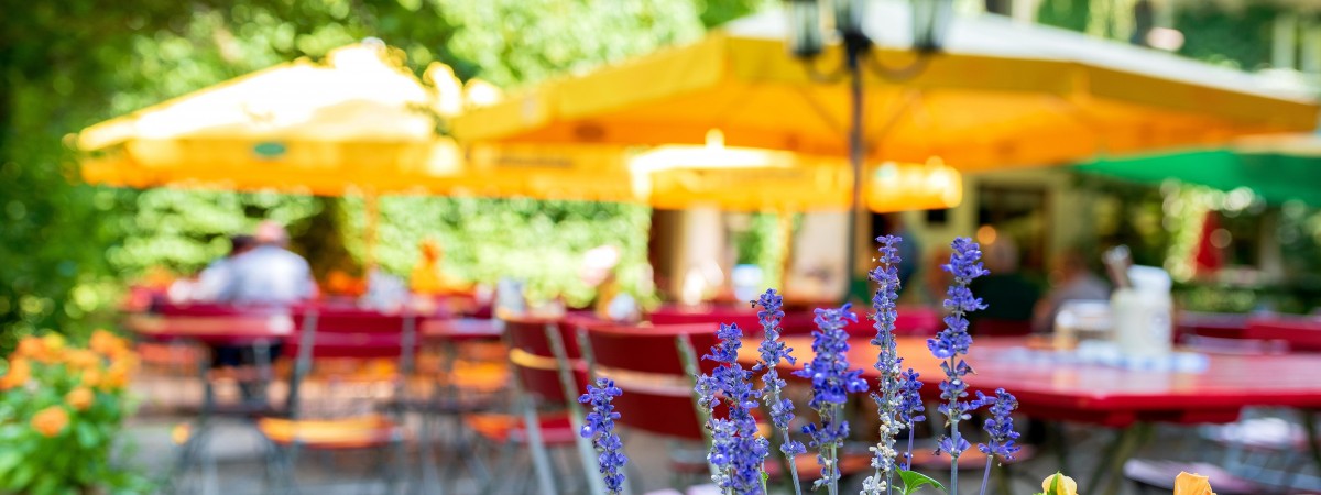 Otwarcie restauracji na świeżym powietrzu. Jakie obostrzenia obowiązują podczas wizyty?