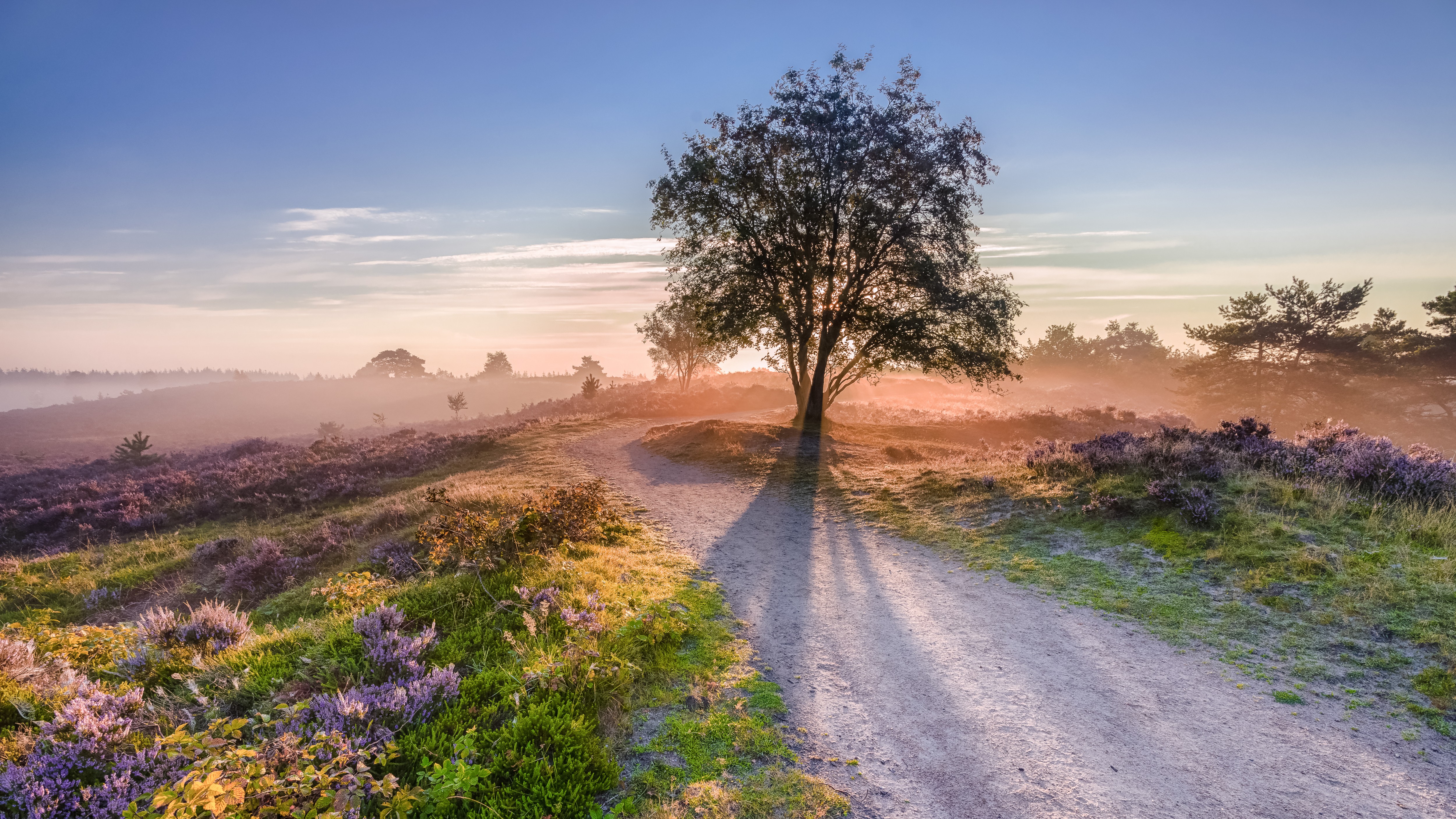 Veluwe