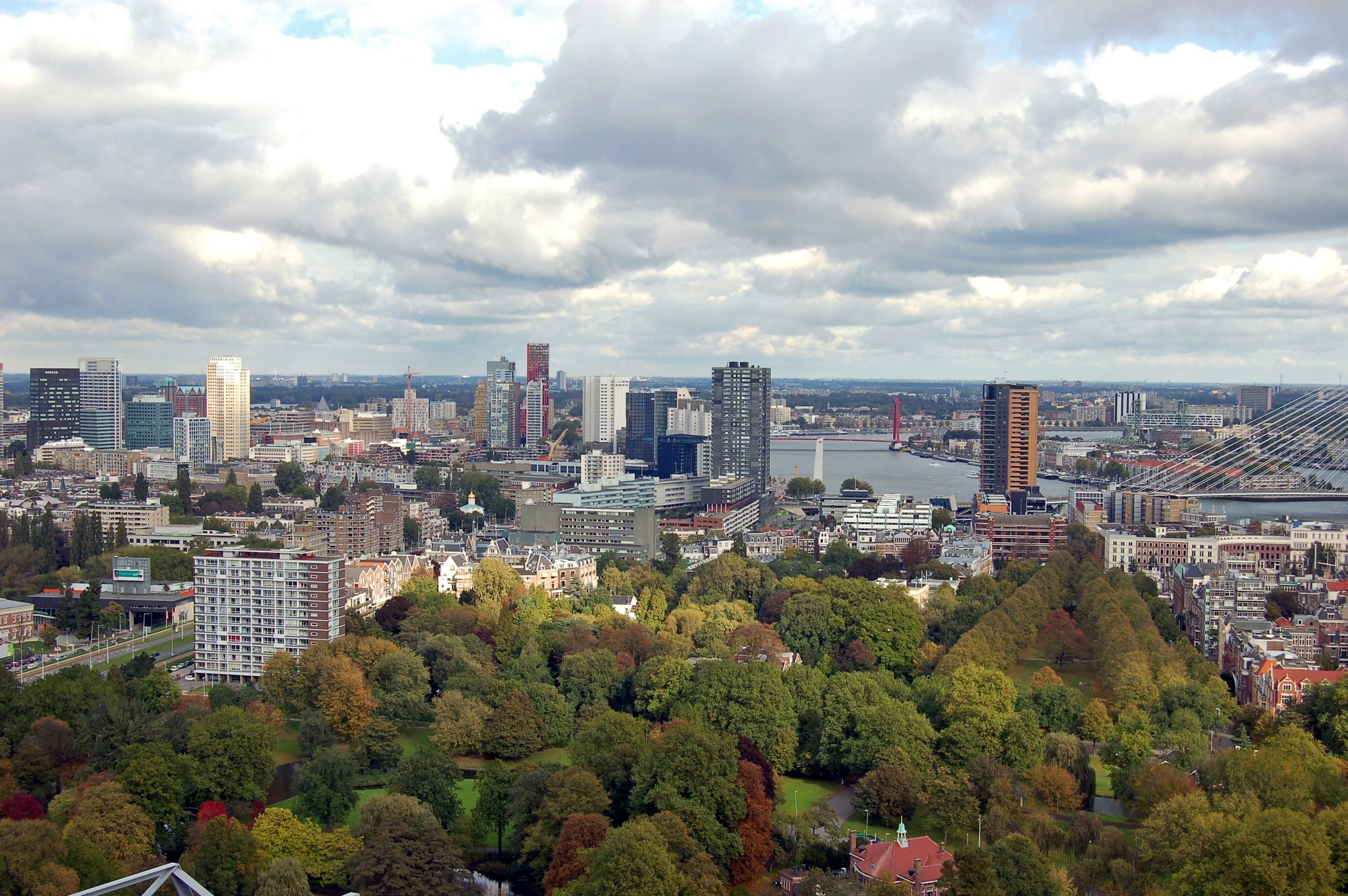 Rotterdam. Miasto otwarte.